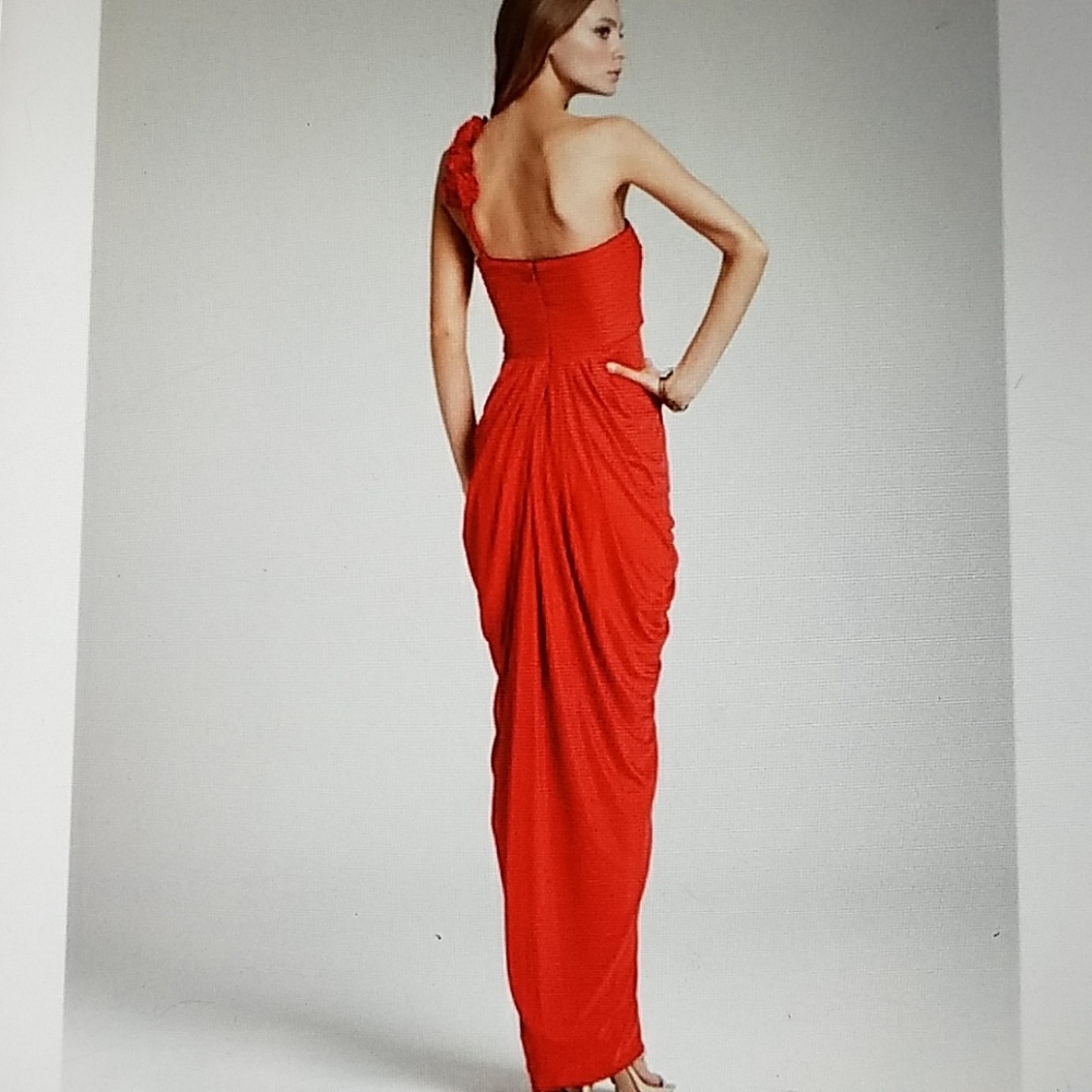 *BCBGMAXAZRIA Red Elysa Gown*